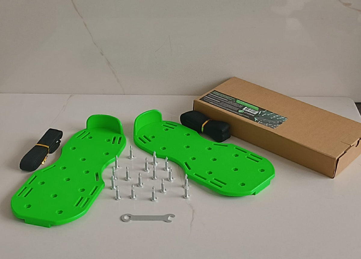 Zapatos de puas